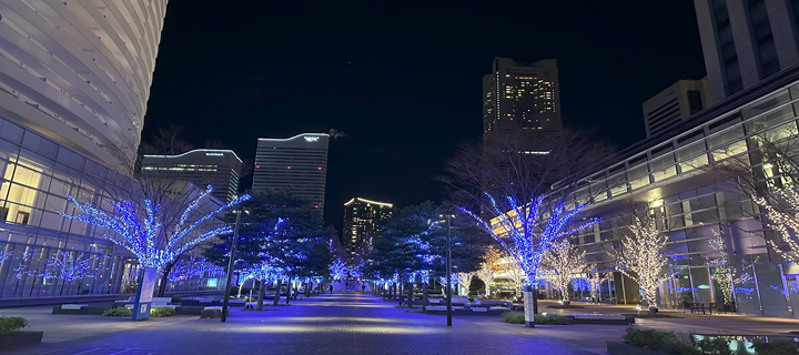 TOP　みなとみらい通り夜景